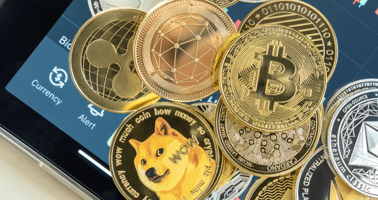 WIF长期投资回报率分析与持有策略指南