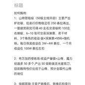 （《以谁能带我手游搬砖攻略》）探索最佳搬砖导师，提升游戏技巧 - 心得分享 - 游戏攻略港
