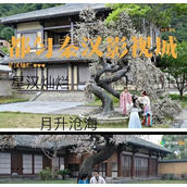 （《星河灿烂手游攻略大揭秘》）从零到高手，轻松称霸星河世界！ - 心得分享 - 游戏攻略港