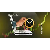 XRP鲸鱼悄然囤积，价格蓄势待发