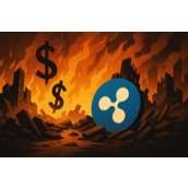 Ripple首席技术官揭露Linqto上市前股票内幕