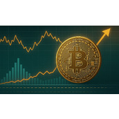 比特币二元CDD指标确认长期信心：坚定持有者的信念