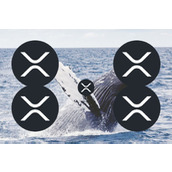 XRP巨鲸警报：两大超级巨鲸刚刚对XRP采取看涨行动