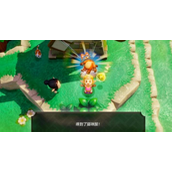 《塞尔达传说智慧的再现》猫咪服怎样获得_猫咪装获得方法