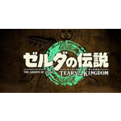 塞尔达传说王国之泪王城武器装备怎么获得?王城武器装备获得方法