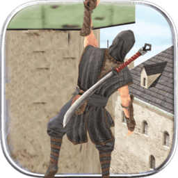 忍者武士刺客英雄无限弹药版