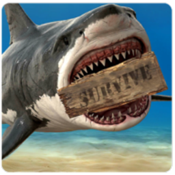 木筏生存模拟器中文修改版