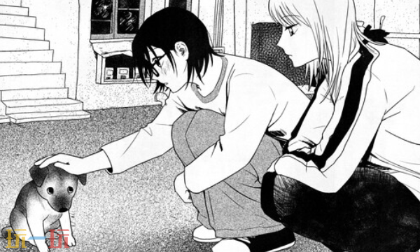 纸房子角色攻略大全 纸房子全路线结局选项分享