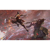 只狼影逝二度兑换码有什么-只狼影逝二度最新2025兑换码一览