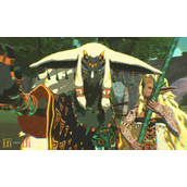 塞尔达无双封印战记是钥匙卡吗-实体版形式说明