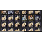 荒原曙光宠物选择与驯养攻略