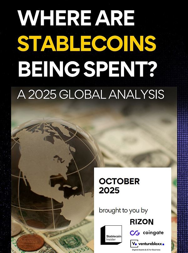 稳定币全球消费格局