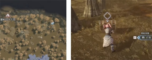 荒原曙光瘴气沼泽隐藏宝箱全收集攻略