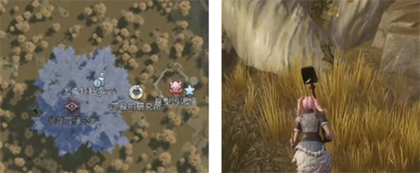 荒原曙光瘴气沼泽隐藏宝箱全收集攻略
