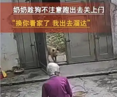 谁跑得慢谁看家是什么梗？什么意思？抖音热梗谁跑得慢谁看家详解