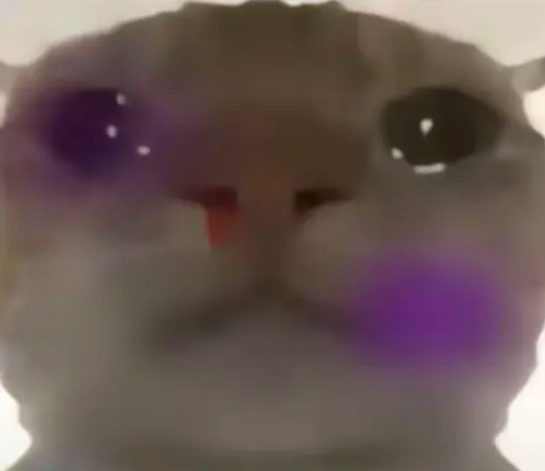 三角洲鼠鼠表情包大全2025