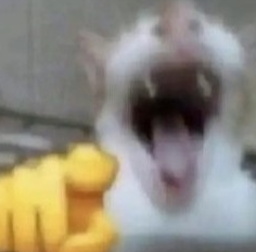 三角洲鼠鼠表情包大全2025