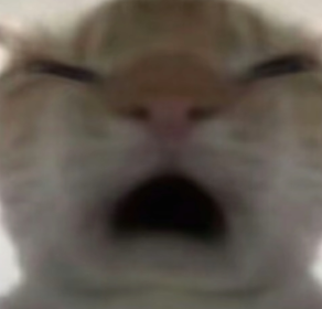 三角洲鼠鼠表情包大全2025