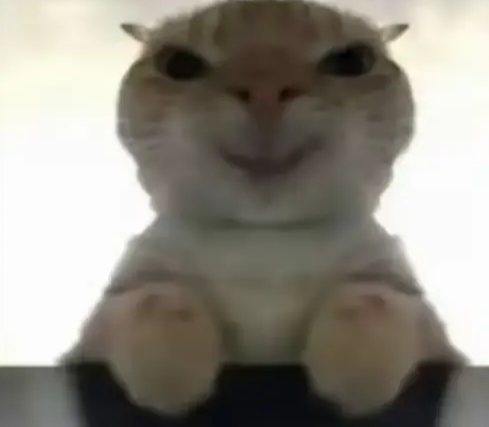 三角洲鼠鼠表情包大全2025