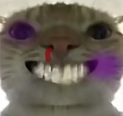 三角洲鼠鼠表情包大全2025