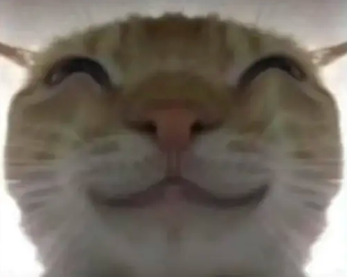 三角洲鼠鼠表情包大全2025