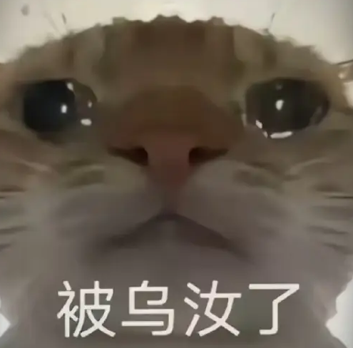 三角洲鼠鼠表情包大全2025