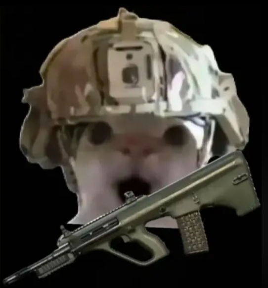 三角洲鼠鼠表情包大全2025