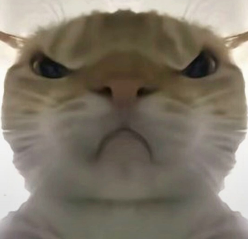 三角洲鼠鼠表情包大全2025