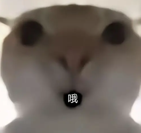 三角洲鼠鼠表情包大全2025