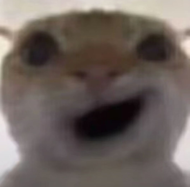 三角洲鼠鼠表情包大全2025