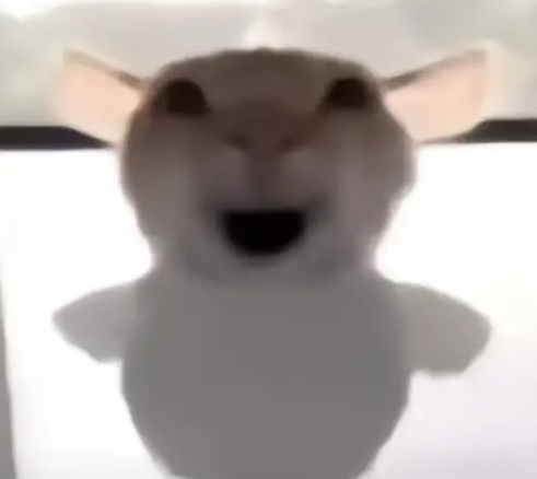 三角洲鼠鼠表情包大全2025