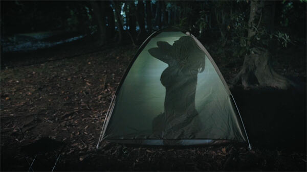 天命重启心跳的抉择第九章全流程攻略