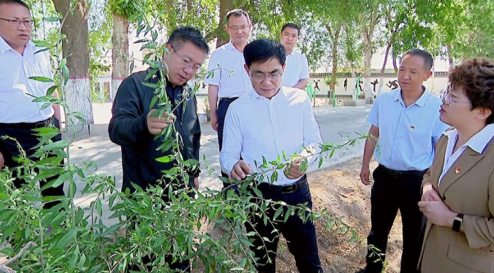 农村集体经济经理人主要负责什么工作