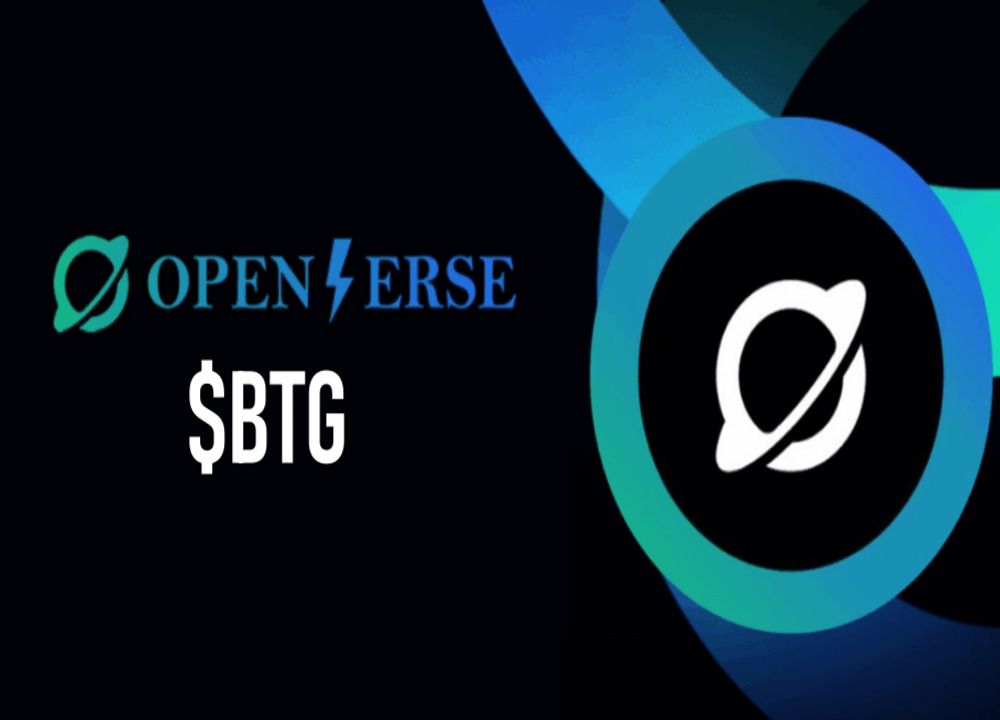 Openverse Network (BTG) 币是什么?BTG代币经济学、路线图及价格预测