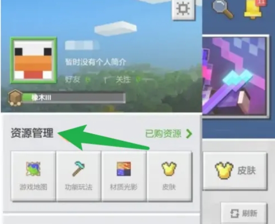 我的世界国际版下载 我的世界国际版下载