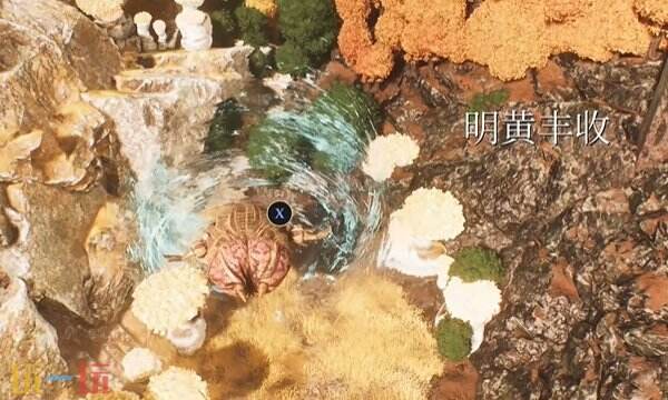 光与影33号远征队日志收集指南：38号远征队日志 39号远征队日志拾取地点介绍