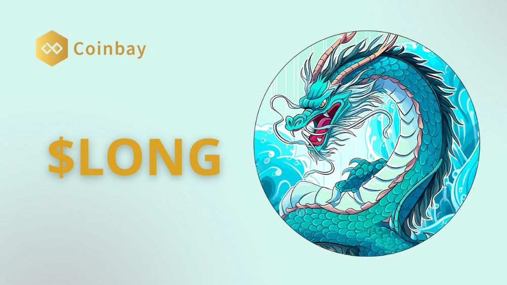 Long ($LONG) 是什么？LONG价格预测2025、2026-2030年