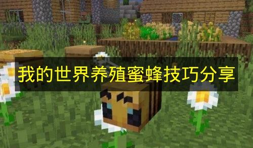 我的世界养殖蜜蜂技巧分享 我的世界怎么养殖蜜蜂