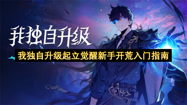我独自升级起立觉醒新手开荒入门指南