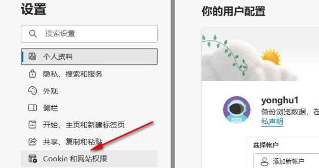 e站网站怎么清除cookies