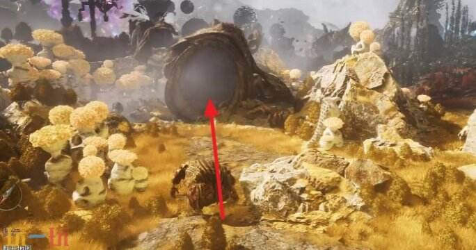 光与影33号远征队绝处逢生:绝处逢生符文效果及获取方式详解