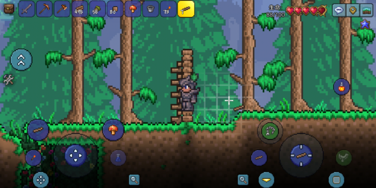 《泰拉瑞亚》萌新开荒指南宣传图9 《泰拉瑞亚》萌新开荒指南宣传图9