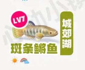 1728877520988638.png diablofans游戏攻略