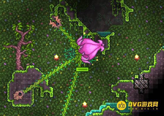 《泰拉瑞亚》世纪之花出现条件-世纪之花怎样才能出现刷新