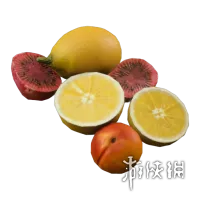 《ARCRaiders》水果混合物介绍-罕见医疗物品详解