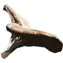 《ARCRaiders》蘑菇介绍-工作台升级材料详解