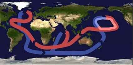 全球海洋热量的输送带是_12.9神奇海洋今日答题答案最新2025