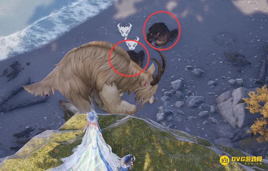 1765637157780017.png diablofans游戏攻略