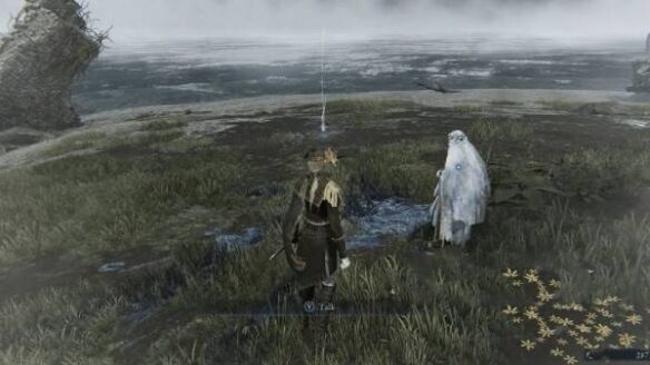 艾尔登法环黑夜君临遗物获取方式:如何获得遗物头冠的徽章