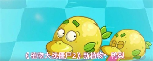 植物大战僵尸2新植物鸭梨属性怎么样-植物大战僵尸2新植物鸭梨属性全介绍